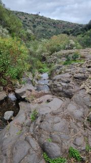 2024-01-GranCan-Barranco_de_los_Cernicalos-055.jpg
